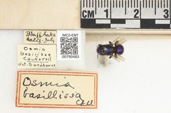 Media type: image;   Entomology 790483 Aspect: Labels